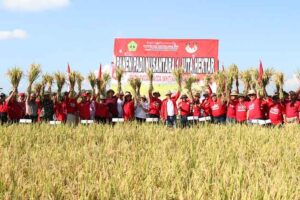 Pemkab Tabanan Buka Acara Panen Padi Nusantara 1 Juta Hektar di Subak Bengkel