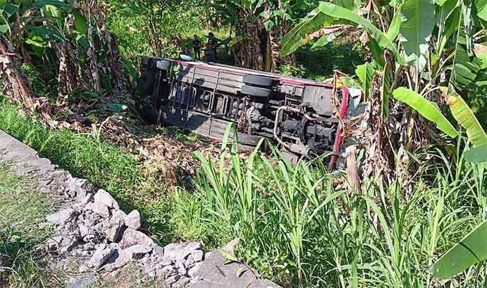 Kondisi bus yang terjatuh di jalur Gilimanuk-Denpasar.