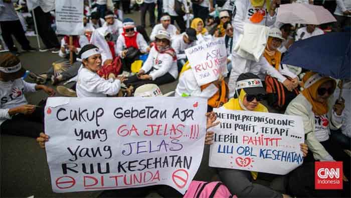 Ribuan Nakes melakukan demo (Foto: CNN Indonesia/Adi Ibrahim)