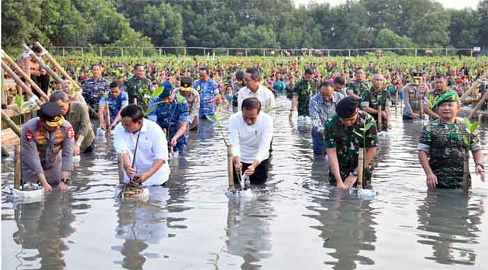 Presiden Joko Widodo menghadiri Puncak Penanaman Mangrove Nasional secara Serentak oleh Jajaran TNI di Seluruh Indonesia Tahun 2023, di Taman Wisata Alam (TWA) Angke Kapuk, Jakarta, pada Senin (15/5/2023). (Foto: BPMI Setpres/Rusman)