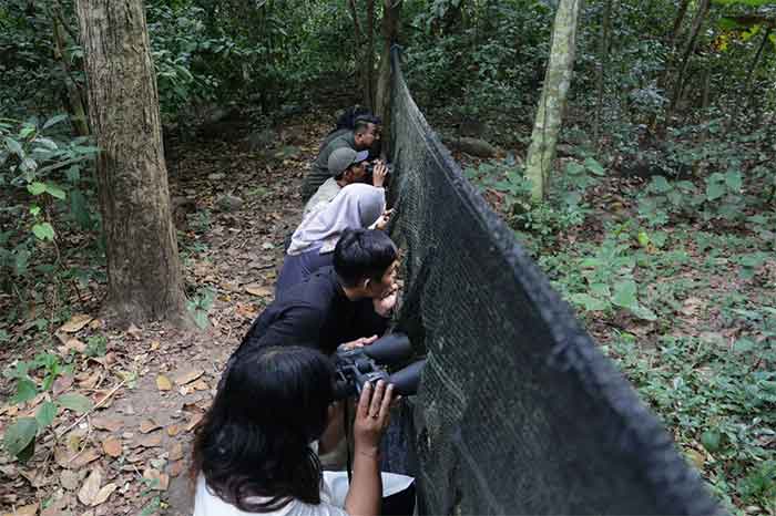 Beberapa wisatawan tengah menikmati sensasi "Birdwatching" di Taman Wisata Alam Kerandangan Lombok, Minggu (18/6/2023). (Foto: Kemenparekraf)