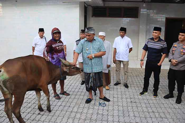 Bupati Jembrana I Nengah Tamba didampingi Wabup I GDN Patriana Krisna menyerahkan hewan qurban kepada umat muslim di Jembrana