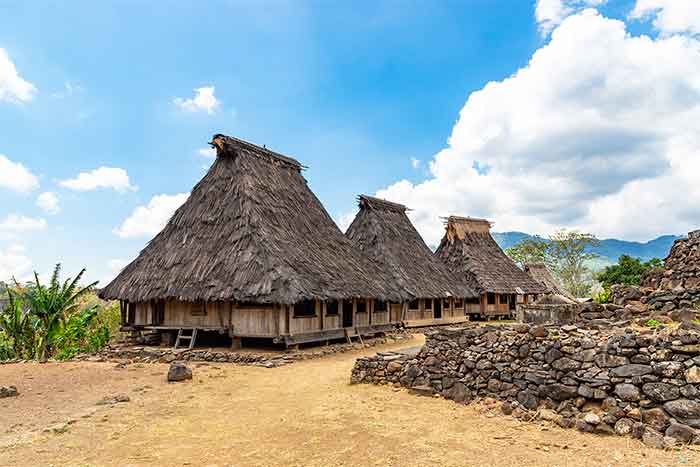 Deretan rumah adat di di Desa Adat Wologai, Ende (Foto: Shutterstock/umikem)