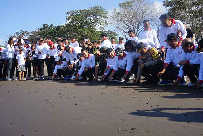 Wakil Bupati Jembrana I Gede Ngurah Patriana Krisna bersama jajaran Forkopimda dan Kepala OPD di lingkup Pemerintah Kabupaten Jembrana melaksanakan pelepasan 40 tukik di Kawasan Wisata Pantai Delodbrawah, Kec. Mendoyo, Selasa (27/6).