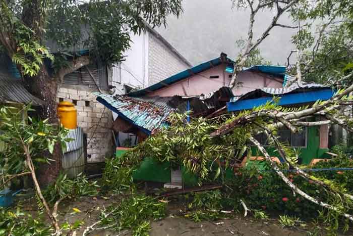 Lokasi rumah oma Din Sahetapy yang ditmpa pohon, Minggu (9/72023). (Foto: M-009)