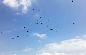 Ratusan layang-layang menghiasi langit sirkuit All In One di Jembrana. (M-011)