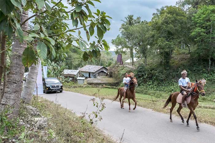 Rombongan Menparekraf diiringi oleh kuda Sumba atau yang dikenal dengan nama sandalwood pony saat tiba di Desa Wisata Tebara, Nusa Tenggara Timur, Minggu (13/8/2023).