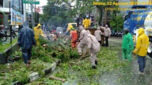 Lokasi tumbangnya pohon didepan Hotel Amans, akibat hujan deras disertai angin kencang