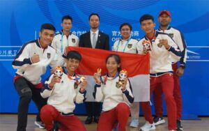 wushu