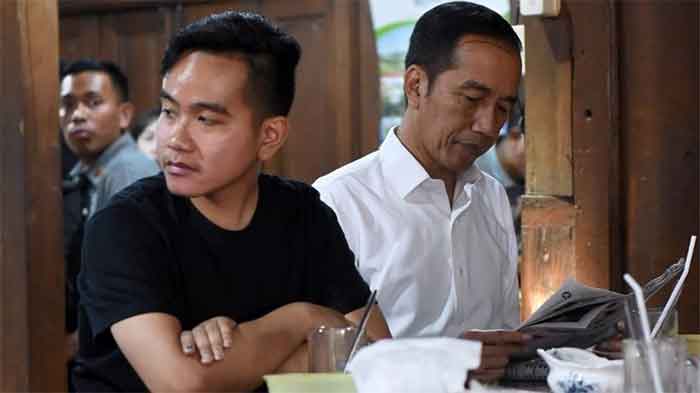 Ini Penjelasan Golkar Soal Mekanisme Penambahan ‘Jokowi’ di Belakang Nama Gibran