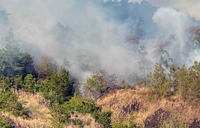Kawasan Hutan Gunung Batur Kembali Terbakar, Diduga dari Gesekan Ranting