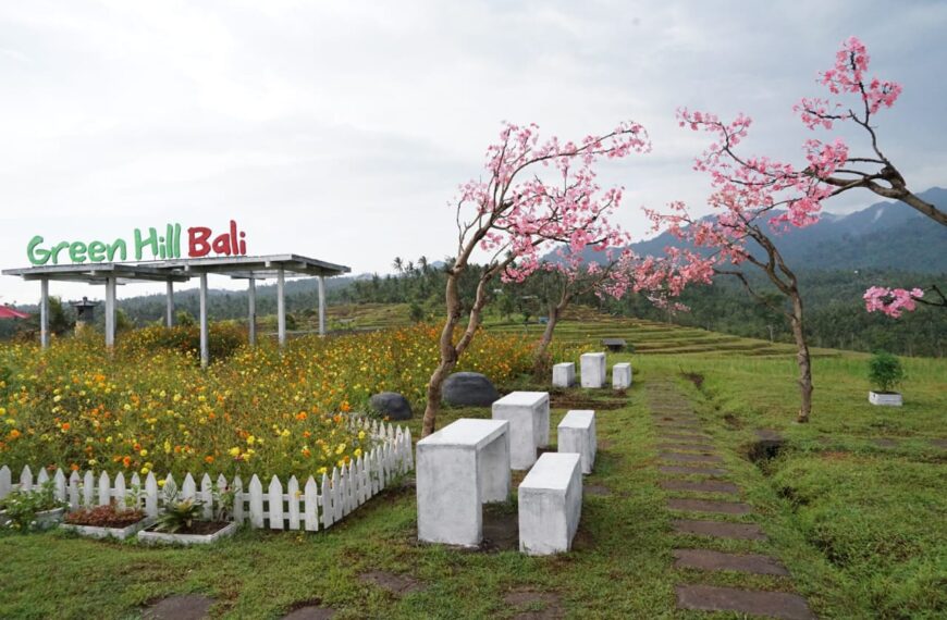 Agrowisata Green Hill Bali Dibuka,…