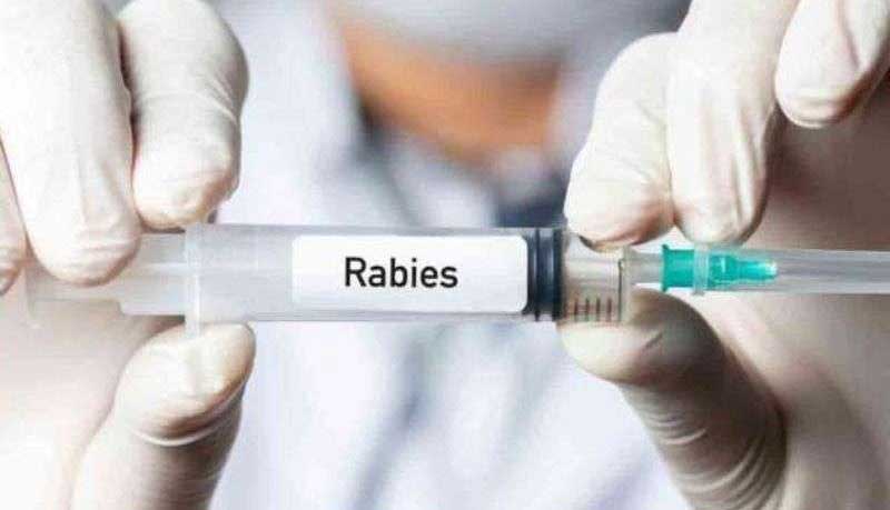 ilustrasi-rabies