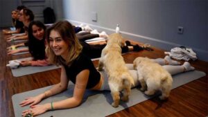 PUPPY-YOGA