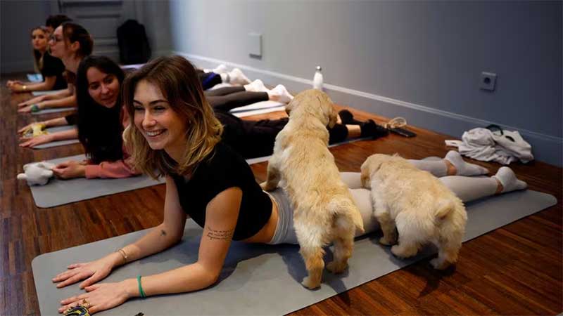 PUPPY-YOGA