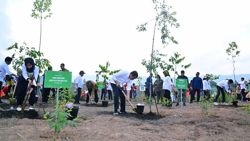 Penghijauan IKN, Untuk Bangun Hutan…