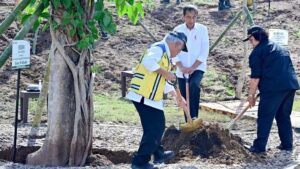 Di Manggarai Barat, Presiden Jokowi Tanam Pohon Bersama…