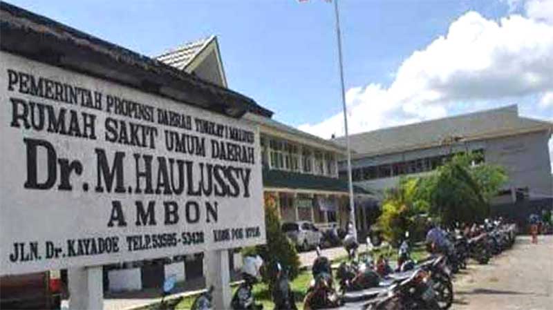 Dokter dan Pegawai RSUD Haulussy Ambon Demo