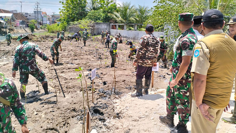 TNI, Polri, Pemda dan Masyarakat di Lamongan Bersinergi Tanam Mangrove