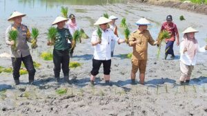 Letkol-Arm-Wira-Petakan-Wilayah-Rawan-dan-Sistem-Irigasi