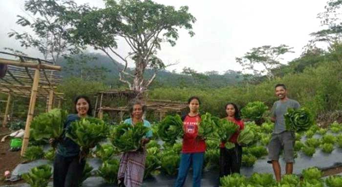 Kembangkan PLTP Ulumbu 5-6 di Poco Leok, Beginilah Tokoh Adat Beber Kedekatan dengan PLN 