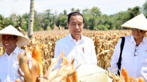 JOKOWI
