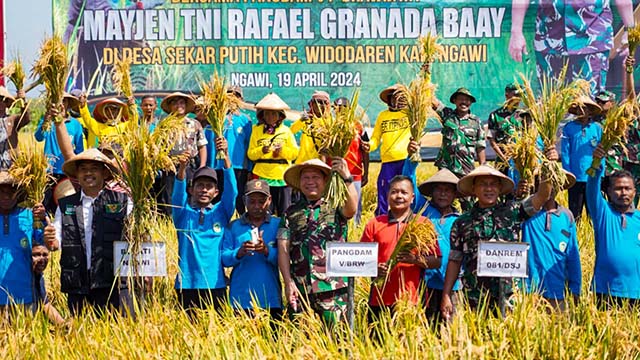 Tiga Daerah di Jatim Masuki Panen Raya Serentak