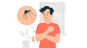 ilustrasi demam berdarah