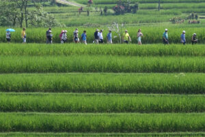 Indonesia Siapkan Beragam Side Event World Water Forum…