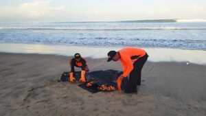 wisdom terseret arus di pantai legian