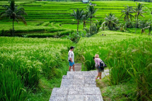 WWF Peluang bagi Bali untuk Dikukuhkan Sebagai Pariwisata…