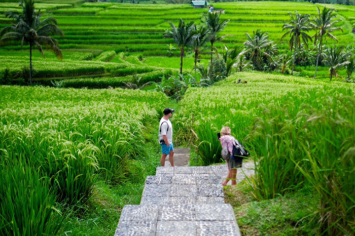 WWF Peluang bagi Bali untuk Dikukuhkan Sebagai Pariwisata Regeneratif 