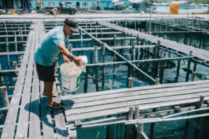 INVESTASI SEA