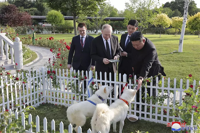 kim jong un