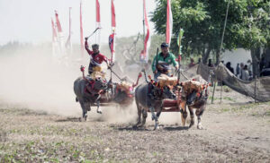 mekepung