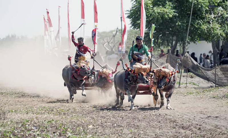 mekepung