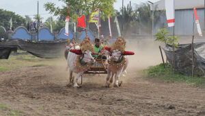 mekepung