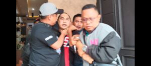 pembalakan liar