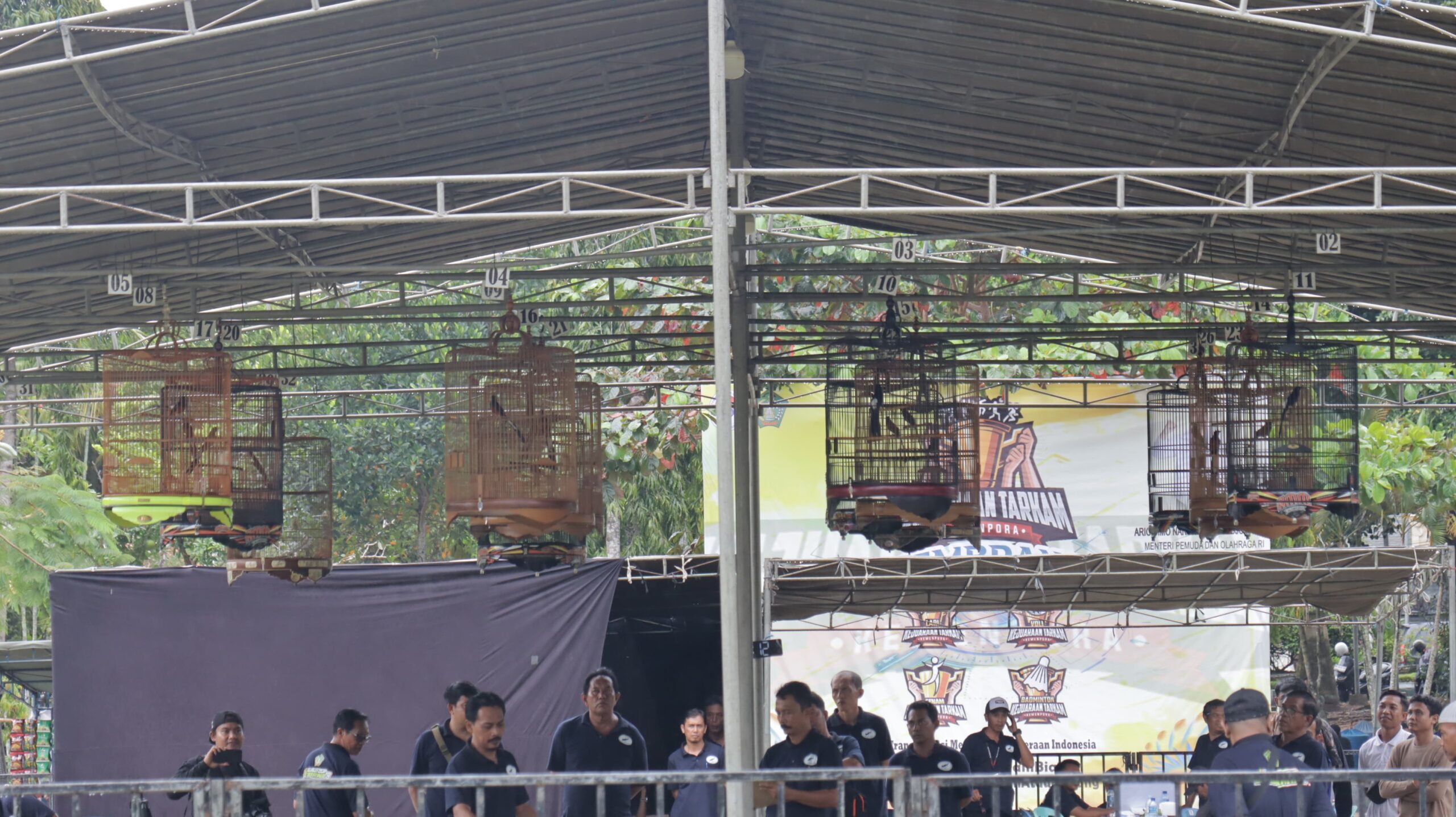 lomba burung