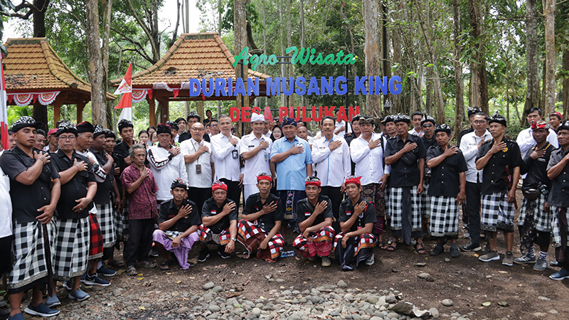 desa pulukan