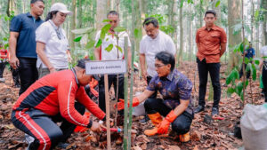 giri prasta tanam pohon pala