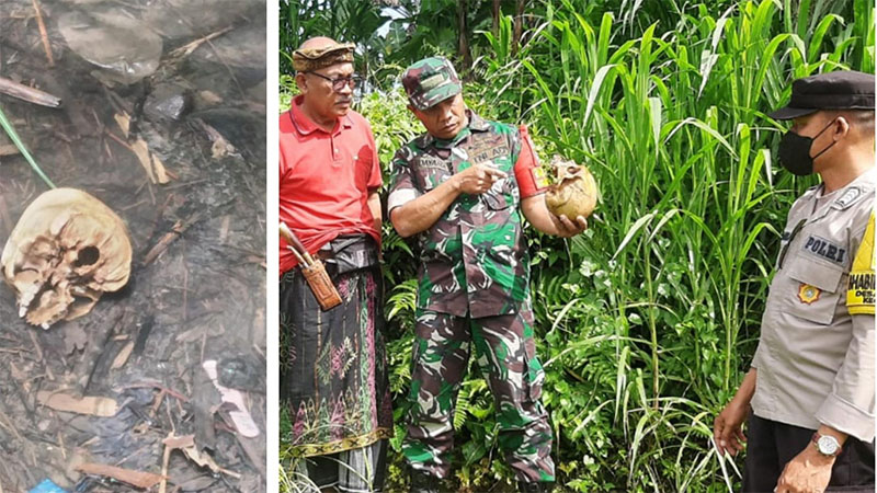 bengkorak manusia