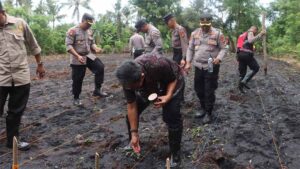 penanaman jagung serentak di jembrana