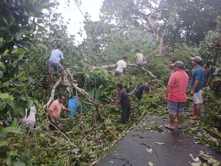 pohon-tumbang-di-Banda-768x576