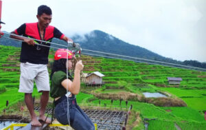 Flying Fox