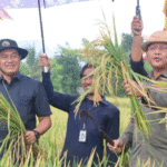 panen raya