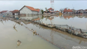 Ilustrasi banjir rob