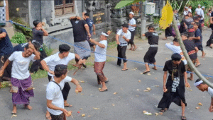 Warga Desa  Adat Apit Yeh gelar perang Ketipat