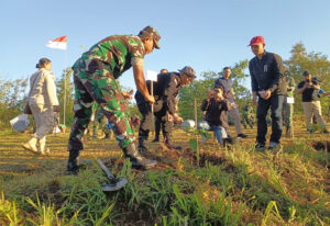 penanaman pohon