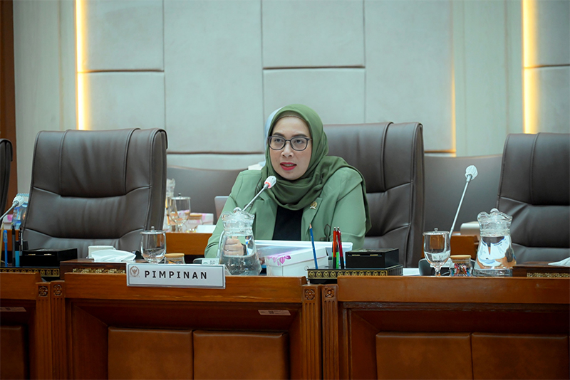 Wakil Ketua Komisi IX DPR RI, Nihayatul Wafiroh